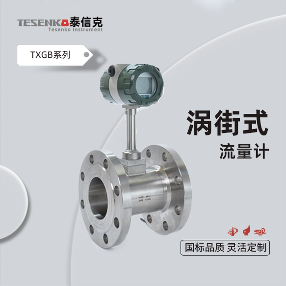 渦街流量計(jì)