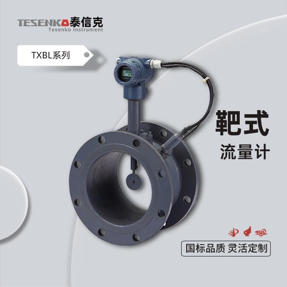 靶式流量計(jì)