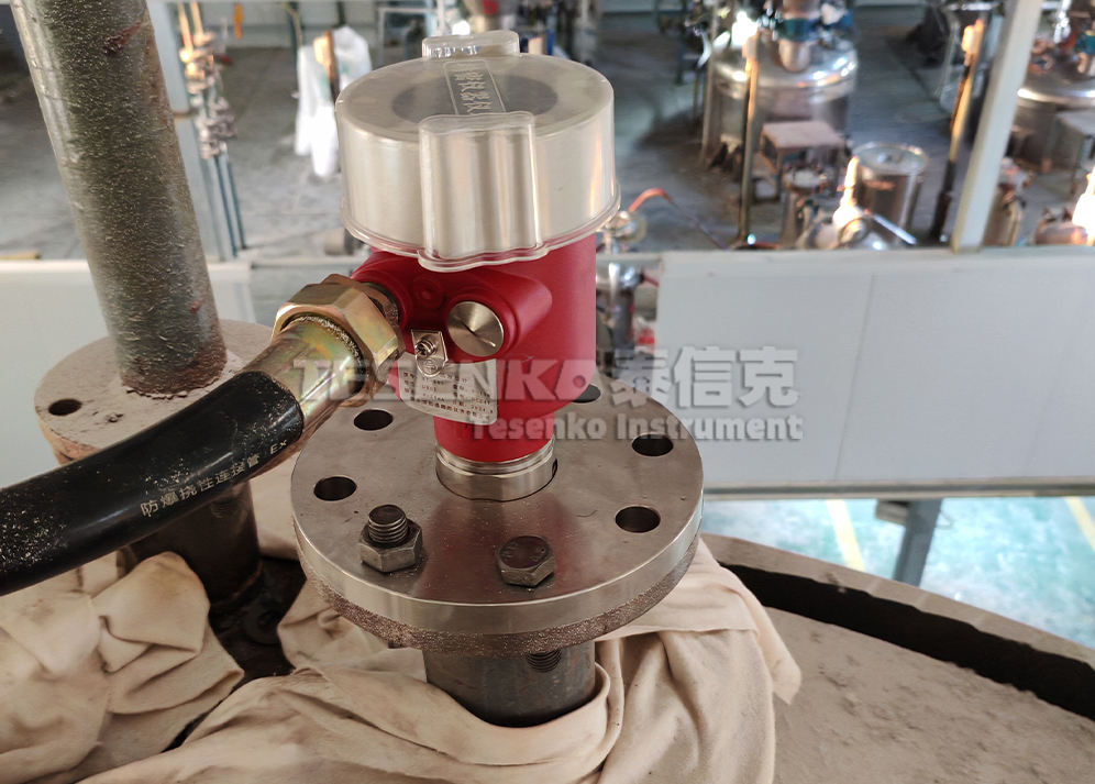 泰信克儀表--雷達(dá)食品加工儲(chǔ)蓄罐客戶(hù)使用現(xiàn)場(chǎng)