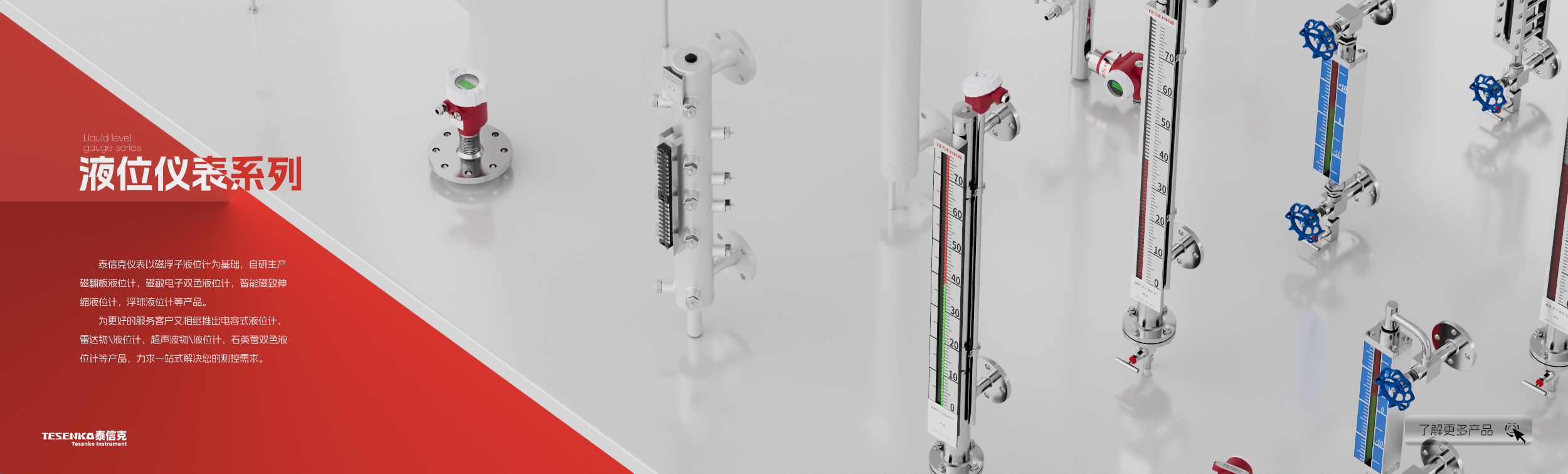 河南泰信克儀表技術(shù)有限公司